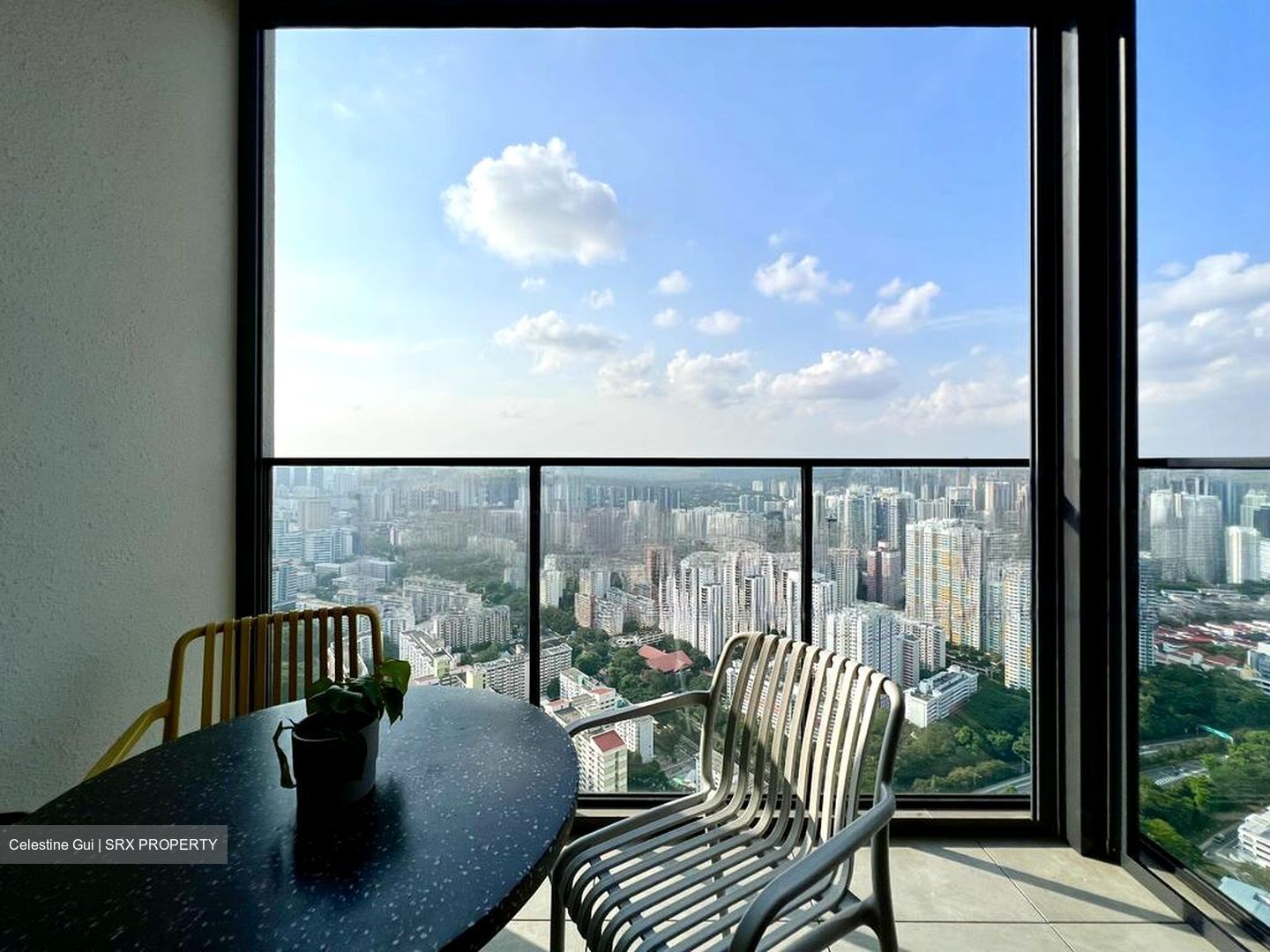 Avenue South Residence (D3), Apartment #458877301